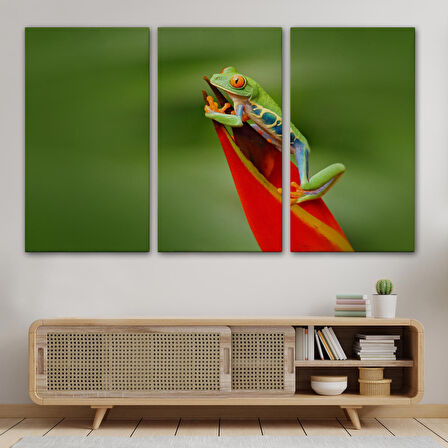 Harita Sepeti Renkli Kurbağa Dekoratif Kanvas Tablo 1136