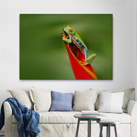 Harita Sepeti Renkli Kurbağa Dekoratif Kanvas Tablo 1136