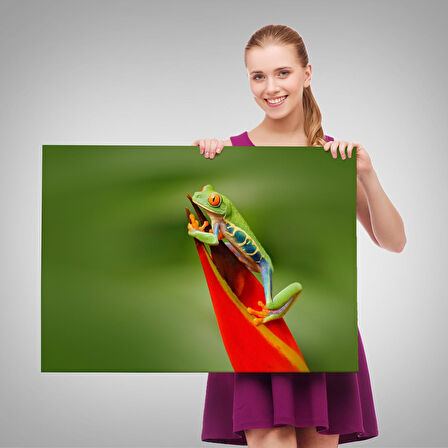 Harita Sepeti Renkli Kurbağa Dekoratif Kanvas Tablo 1136