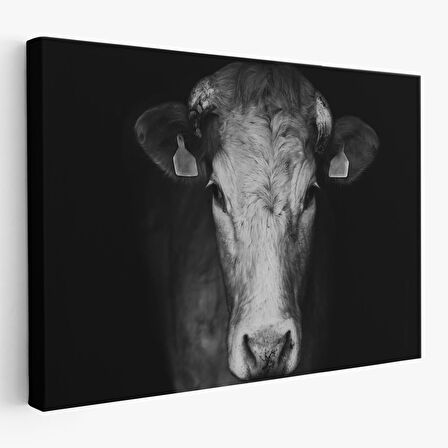 Harita Sepeti İnek Dekoratif Kanvas Tablo 1137