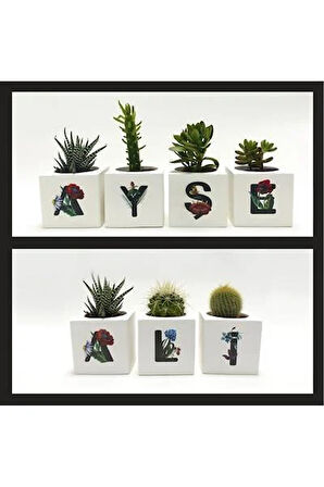 Harf Figürlü Kaktüs Sukulent Saksısı