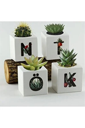 Harf Figürlü Kaktüs Sukulent Saksısı