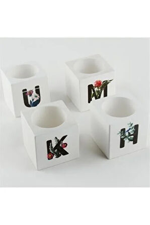 Harf Figürlü Kaktüs Sukulent Saksısı