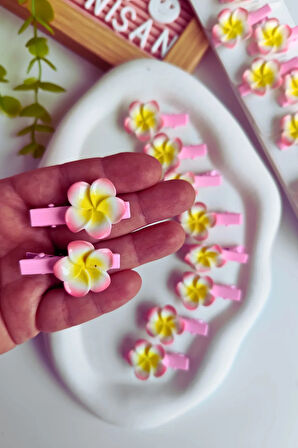 Lotus Saç Tokası Pens Toka 4 Adet 2 Çift