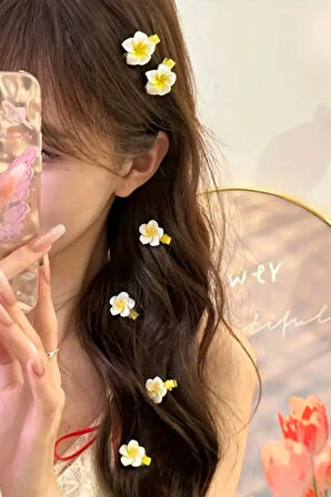 Lotus Saç Tokası Pens Toka 4 Adet 2 Çift