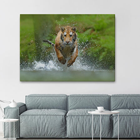 Harita Sepeti Koşan Kaplan Dekoratif Kanvas Tablo 1142