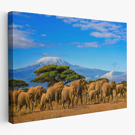 Harita Sepeti Fil Sürüsü Dekoratif Kanvas Tablo 1143