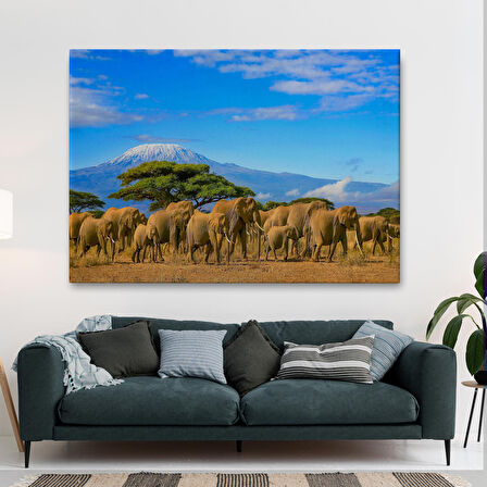 Harita Sepeti Fil Sürüsü Dekoratif Kanvas Tablo 1143