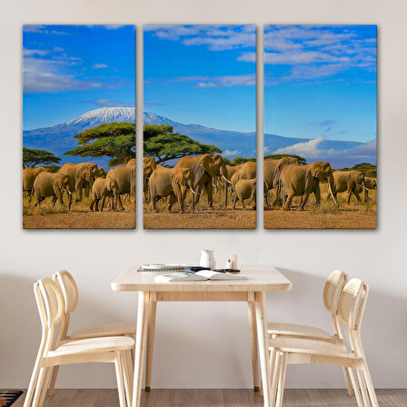 Harita Sepeti Fil Sürüsü Dekoratif Kanvas Tablo 1143