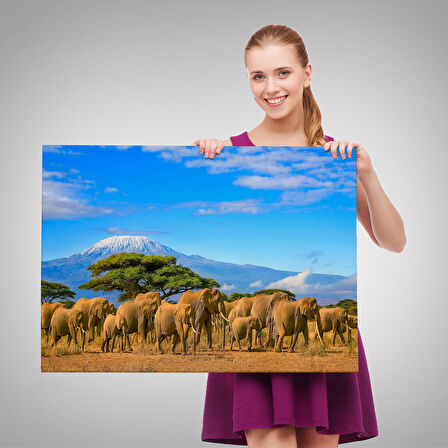 Harita Sepeti Fil Sürüsü Dekoratif Kanvas Tablo 1143