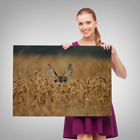 Harita Sepeti Ceylan Dekoratif Kanvas Tablo 1145