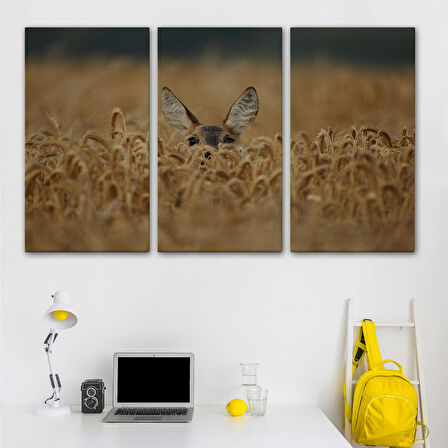 Harita Sepeti Ceylan Dekoratif Kanvas Tablo 1145