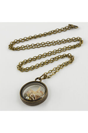 Deniz Yıldızı Canlı Kolye