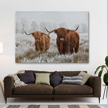 Harita Sepeti İskoçya Sığırları Dekoratif Kanvas Tablo 1150