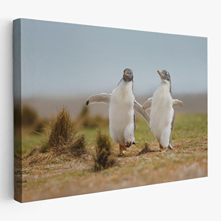 Harita Sepeti Mutlu Yavru Penguenler Dekoratif Kanvas Tablo 1152