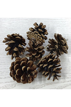 6'lı Kozalak Yılbaşı Ağaç Süsü