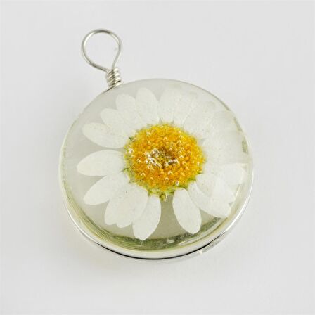 Papatya Canlı Kolye Ucu 2,5 cm