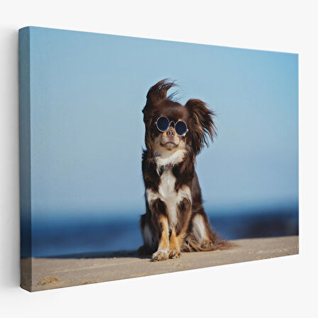 Harita Sepeti Küçük Köpek Dekoratif Kanvas Tablo 1157