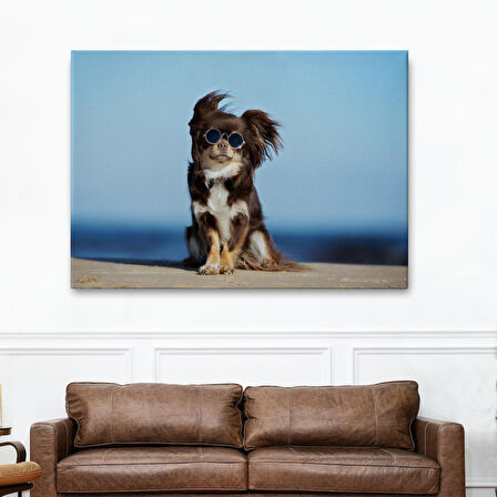 Harita Sepeti Küçük Köpek Dekoratif Kanvas Tablo 1157