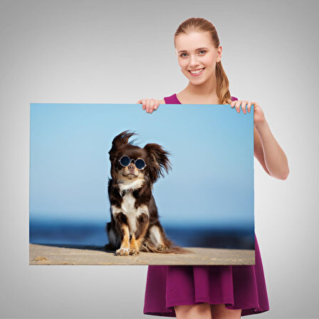 Harita Sepeti Küçük Köpek Dekoratif Kanvas Tablo 1157