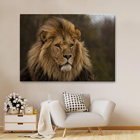 Harita Sepeti Aslan Dekoratif Kanvas Tablo 1159