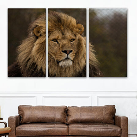 Harita Sepeti Aslan Dekoratif Kanvas Tablo 1159