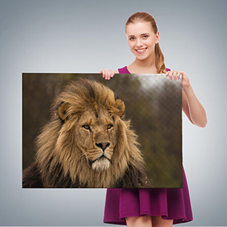 Harita Sepeti Aslan Dekoratif Kanvas Tablo 1159