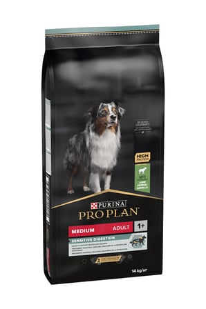 Orta Irk Yetişkin Köpek Kuzulu Mama 14 Kg