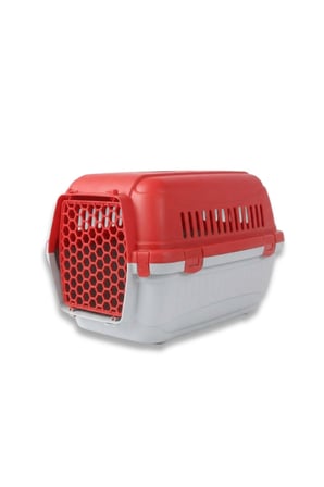 Modern Tasarım Kedi Ve Köpek Taşıma Kutusu Küçük Boy- Kırmızı