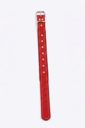 Deri Tasma Kırmızı 65 Cm