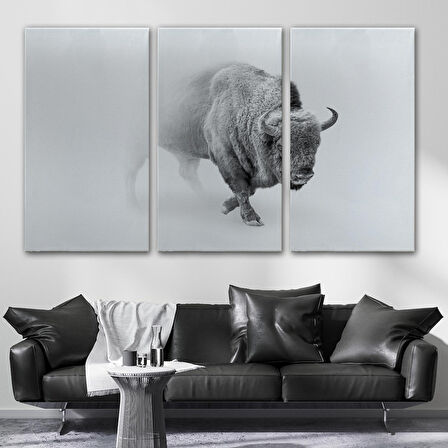 Harita Sepeti Bizon Dekoratif Kanvas Tablo 1160