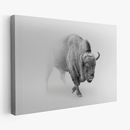Harita Sepeti Bizon Dekoratif Kanvas Tablo 1160