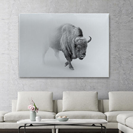 Harita Sepeti Bizon Dekoratif Kanvas Tablo 1160