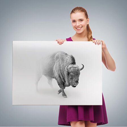 Harita Sepeti Bizon Dekoratif Kanvas Tablo 1160