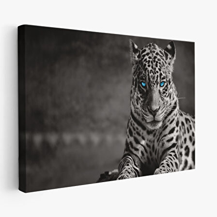 Harita Sepeti Mavi Gözlü Leopar Dekoratif Kanvas Tablo 1162