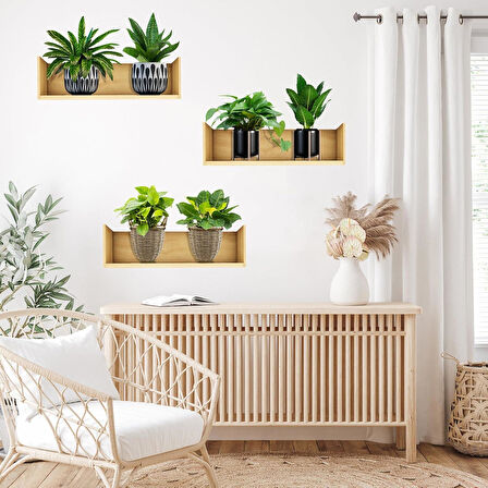 3B Trend 3 adet Bitki Tasarım Duvar Sticker Bitki Saksı Desen Duvar Çıkartması Duvar Dekorasyonu
