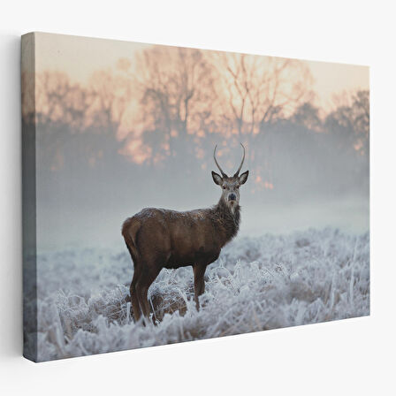 Harita Sepeti Geyik Dekoratif Kanvas Tablo 1166