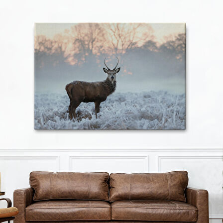 Harita Sepeti Geyik Dekoratif Kanvas Tablo 1166