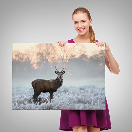 Harita Sepeti Geyik Dekoratif Kanvas Tablo 1166