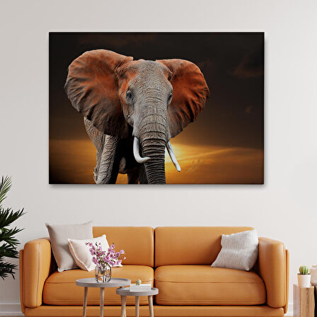 Harita Sepeti Fil Dekoratif Kanvas Tablo 1167