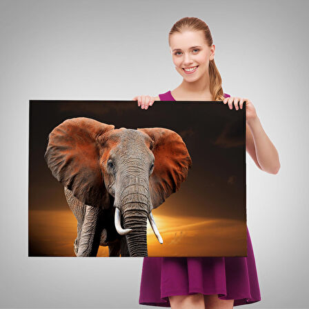 Harita Sepeti Fil Dekoratif Kanvas Tablo 1167