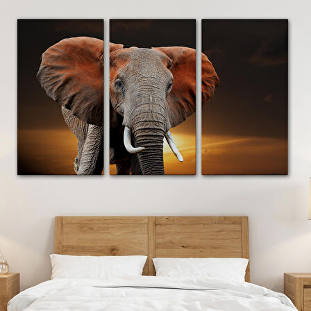 Harita Sepeti Fil Dekoratif Kanvas Tablo 1167