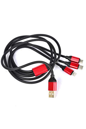 3 In 1 Usb Kablo Siyah