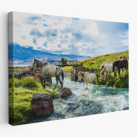 Harita Sepeti Dereden Geçen Atlar Manzaralı Dekoratif Kanvas Tablo 1169