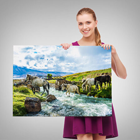 Harita Sepeti Dereden Geçen Atlar Manzaralı Dekoratif Kanvas Tablo 1169