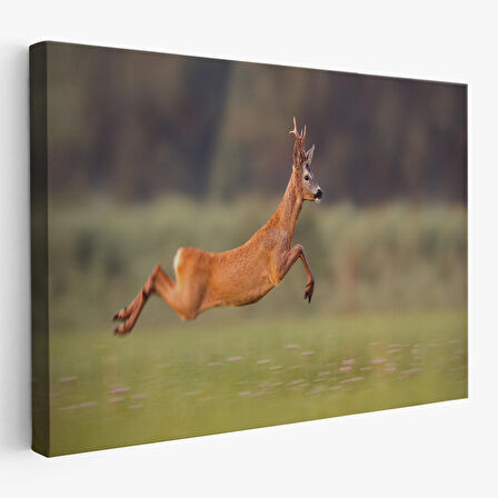 Harita Sepeti Koşan Geyik Dekoratif Kanvas Tablo 1170