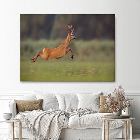 Harita Sepeti Koşan Geyik Dekoratif Kanvas Tablo 1170