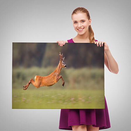 Harita Sepeti Koşan Geyik Dekoratif Kanvas Tablo 1170