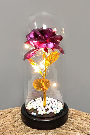 Çiçek Işıklı Led Fanus