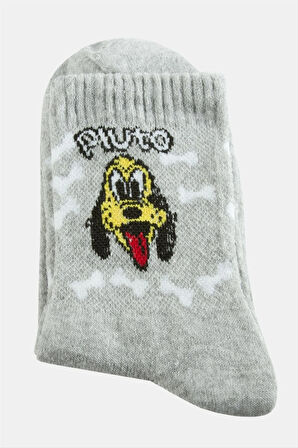 Köpek Kolej Çorap 8*28